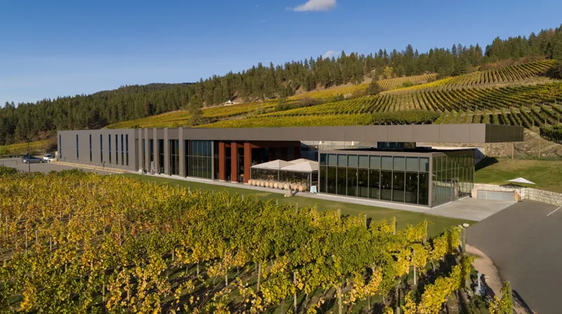 The winery building among the vines