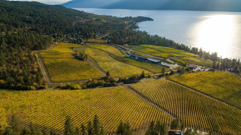 Aerial view of the vineyard blocks and Okanagan Lake