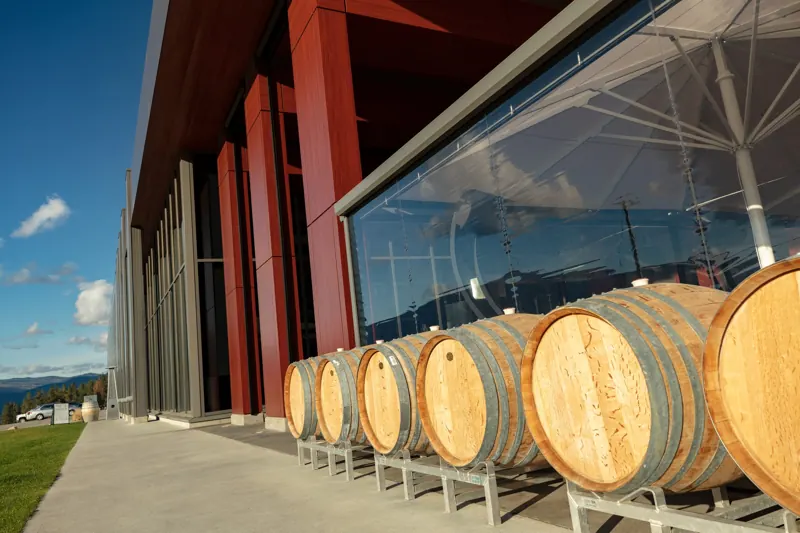 Wine barrels along the glass wall